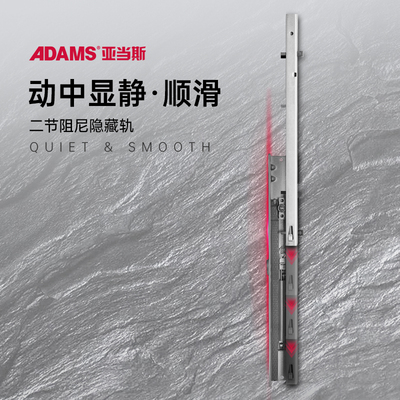 MK02二节阻尼隐藏滑轨(带插销)